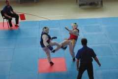 DSC02855-1.
